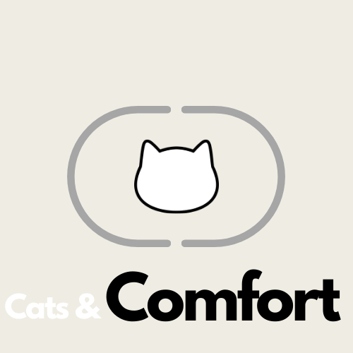 Cats & Comfort 